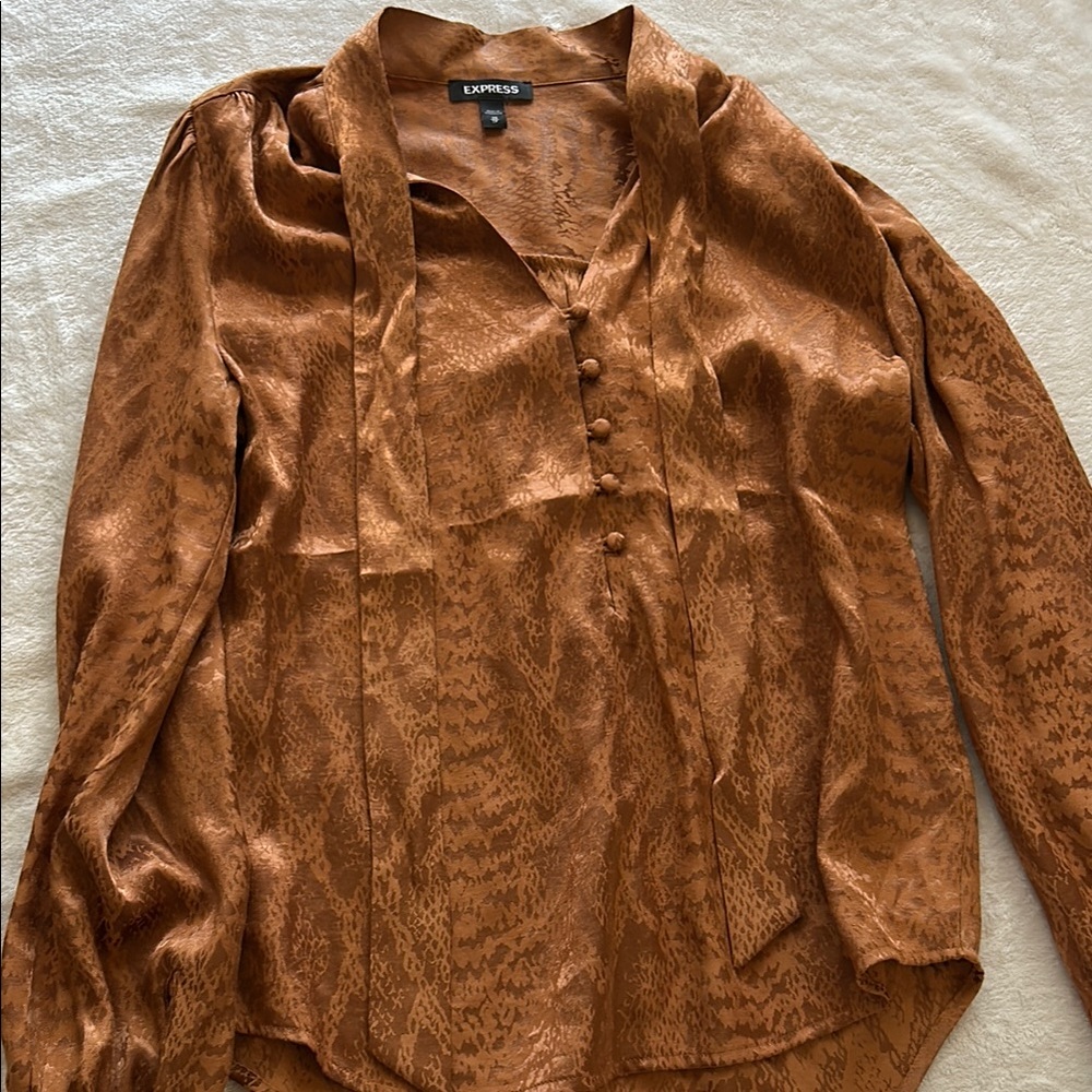 Express Women's Brown Blouse
